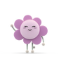 Pre-Order: Blossom